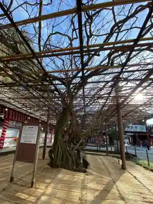 笠間稲荷神社(茨城県)