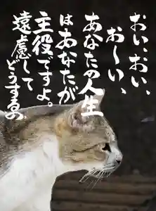 専念寺(大阪府)(2023年02月08日(水) 19時44分23秒投稿)