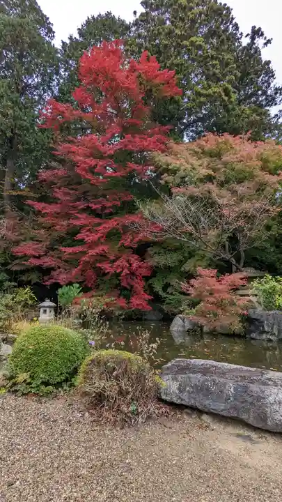 善峯寺(京都府)