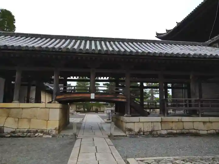 妙心寺(妙心禅寺)(京都府)