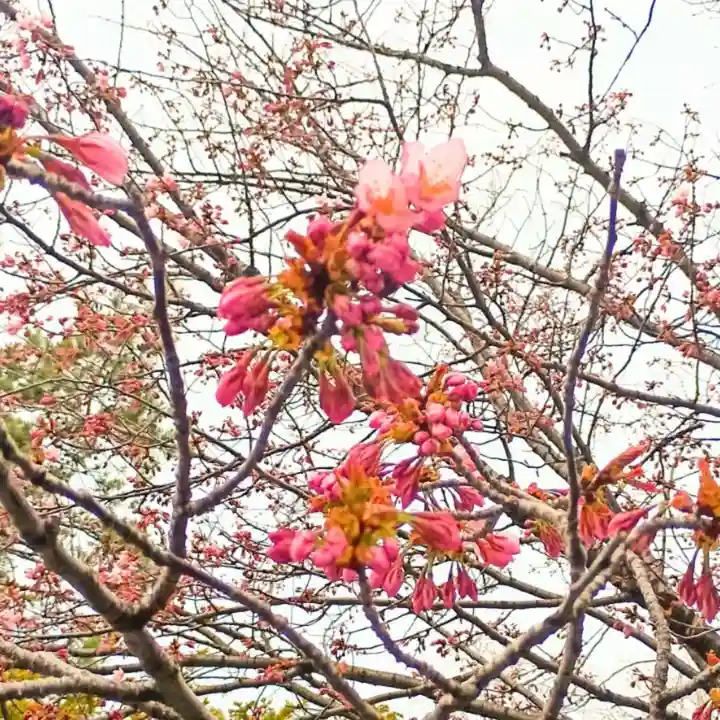 彌彦神社 (伊夜日子神社)の自然