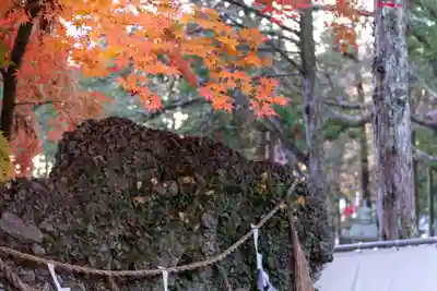 諏訪大社下社秋宮(長野県)