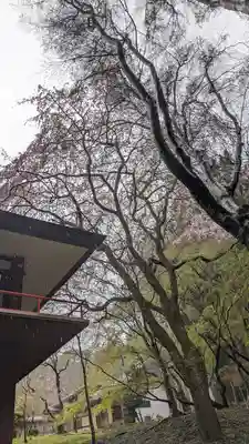 大原野神社(京都府)