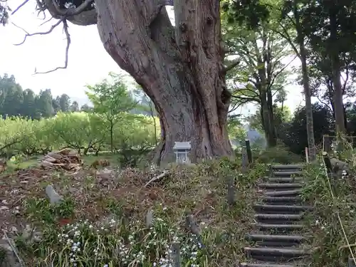 形部神社・佐波良神社の建物その他