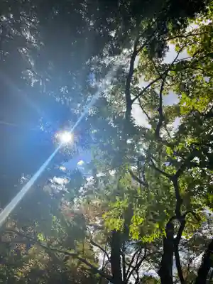 慈照寺（慈照禅寺・銀閣寺）(京都府)