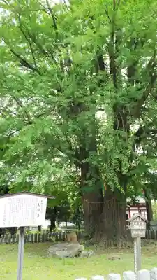 鑁阿寺のその他建物