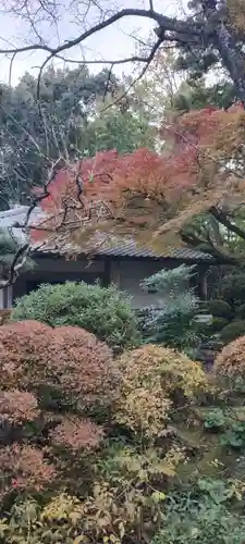 龍潭寺(静岡県)