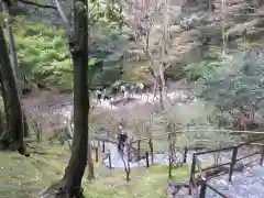 慈照寺（慈照禅寺・銀閣寺）(京都府)