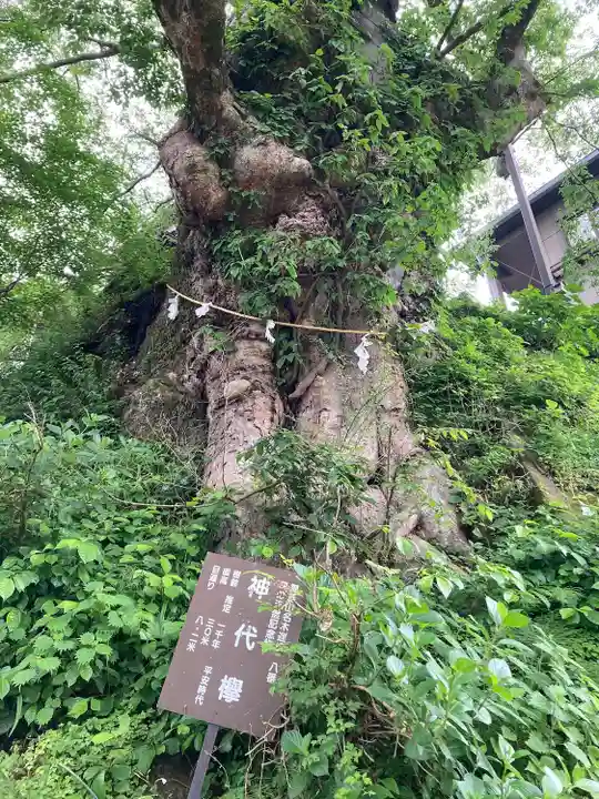 武蔵御嶽神社(東京都)