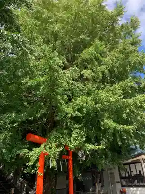 雷神社(神奈川県)