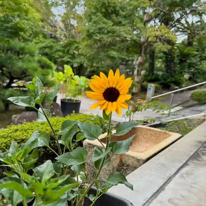 伊勢の国 四天王寺(三重県)