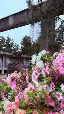 福井神社の{uncategorized: "未分類", other: "その他", undefined: "問題あり", building: "その他建物", grave: "お墓", sacred_gate: "鳥居", guardian: "狛犬", statue: "像", buddha: "仏像", history: "歴史", nature: "自然", garden: "庭園", animal: "動物", pagoda: "塔", temizu: "手水舎", mountain_gate: "山門・神門", sanctuary: "本殿・本堂", subordinate: "末社・摂社", art: "芸術", scenery: "景色", jizo: "地蔵", ema: "絵馬", goshuin: "御朱印", omikuji: "おみくじ", items: "授与品その他", amulet: "お守り", goshuincho: "御朱印帳", eats: "食事", festival: "お祭り", votive_dance: "神楽", shichigosan: "七五三参", wedding: "結婚式", experience: "体験その他", initially: "初詣", around: "周辺", anti_infection: "感染症対策"}