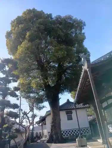 勝林寺(岐阜県)