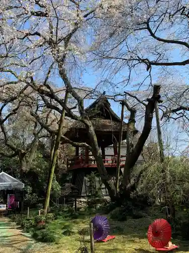 光丸山 法輪寺の庭園