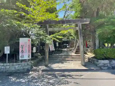 津島神社の鳥居