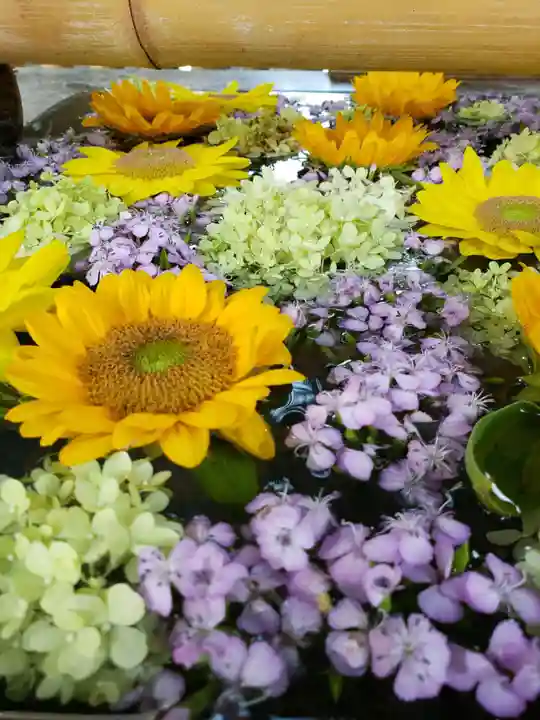 高円寺氷川神社の手水舎