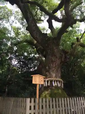 熱田神宮(愛知県)