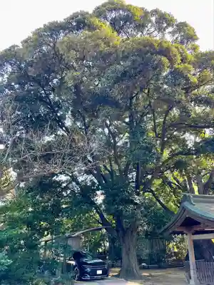 玉川神社(東京都)