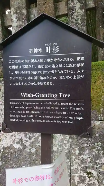 日光東照宮(栃木県)