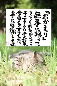 専念寺(大阪府)(2023年05月06日(土) 20時29分21秒投稿)