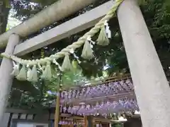 川越氷川神社(埼玉県)