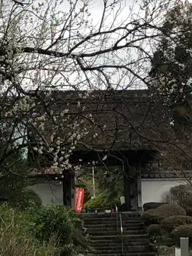 大聖寺（土浦大師不動尊）の山門