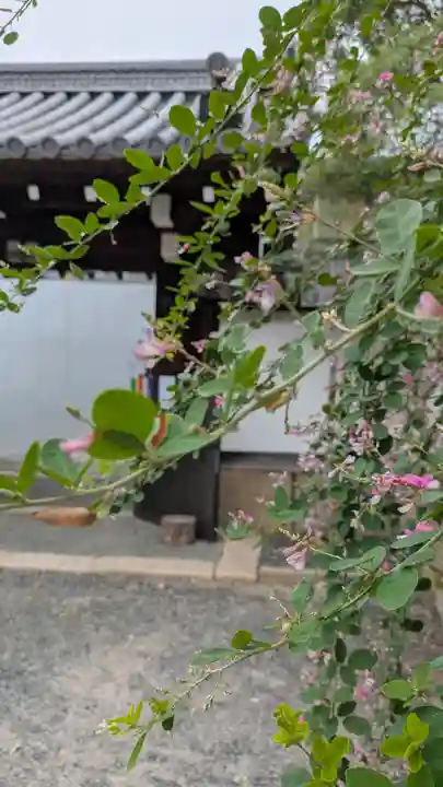 良正院(京都府)