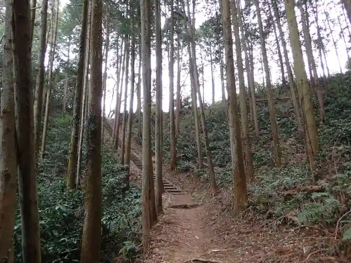 武蔵二宮 金鑚神社の周辺