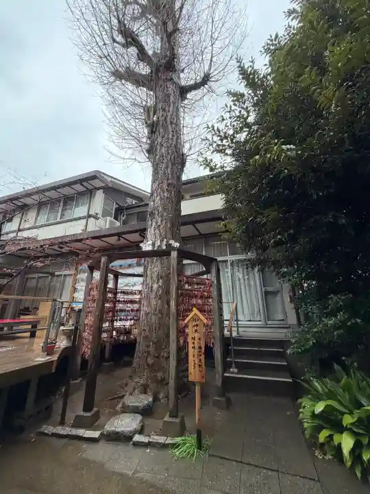 越谷香取神社の{uncategorized: "未分類", other: "その他", undefined: "問題あり", building: "その他建物", grave: "お墓", sacred_gate: "鳥居", guardian: "狛犬", statue: "像", buddha: "仏像", history: "歴史", nature: "自然", garden: "庭園", animal: "動物", pagoda: "塔", temizu: "手水舎", mountain_gate: "山門・神門", sanctuary: "本殿・本堂", subordinate: "末社・摂社", art: "芸術", scenery: "景色", jizo: "地蔵", ema: "絵馬", goshuin: "御朱印", omikuji: "おみくじ", items: "授与品その他", amulet: "お守り", goshuincho: "御朱印帳", eats: "食事", festival: "お祭り", votive_dance: "神楽", shichigosan: "七五三参", wedding: "結婚式", experience: "体験その他", initially: "初詣", around: "周辺", anti_infection: "感染症対策"}
