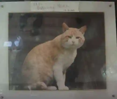 笠置寺(京都府)