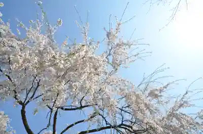 足羽神社(福井県)