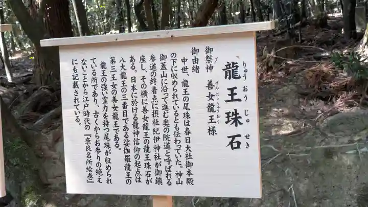 春日大社金龍神社(禁裡殿)(奈良県)