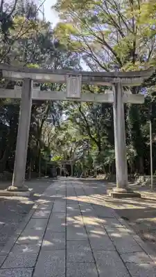 谷保天満宮(東京都)