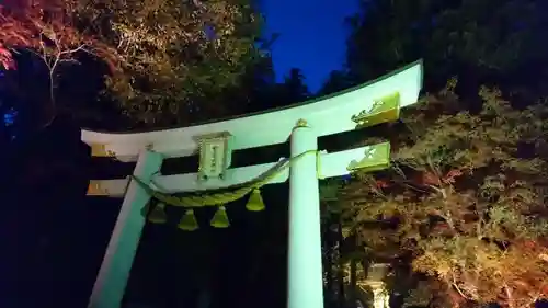 宝登山神社の鳥居