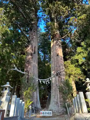 夏井諏訪神社(福島県)