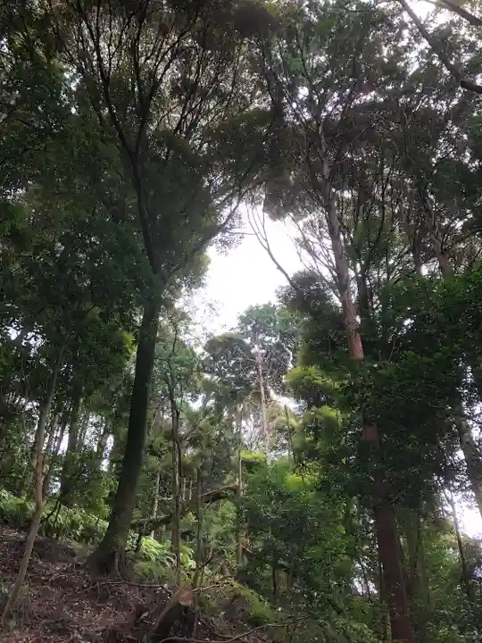 豊国廟(豊国神社飛地境内)(京都府)