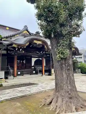 大圓寺(東京都)