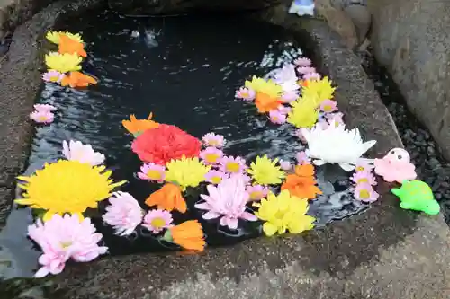 大鏑神社の手水