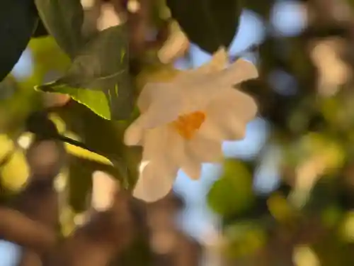 西方山極楽寺(岐阜県)