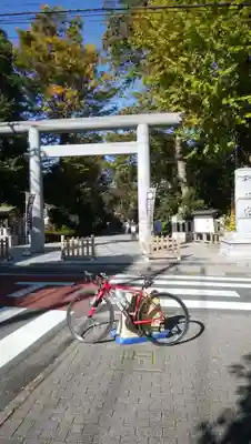 阿佐ヶ谷神明宮の鳥居