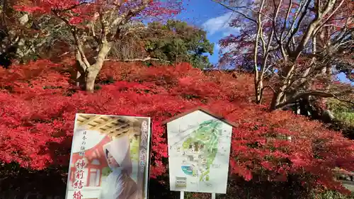 出雲大神宮の景色