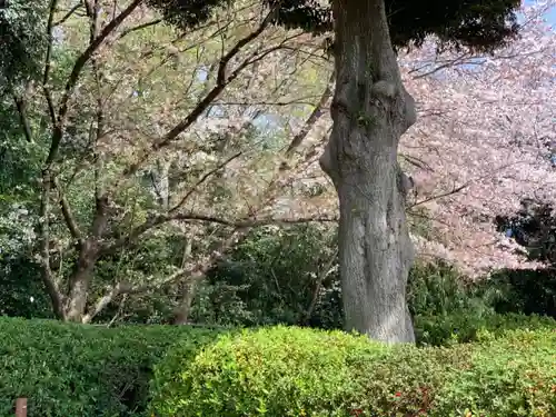 櫻木神社の庭園