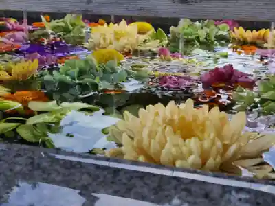 豊景神社の手水舎