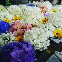 正覚院の手水舎