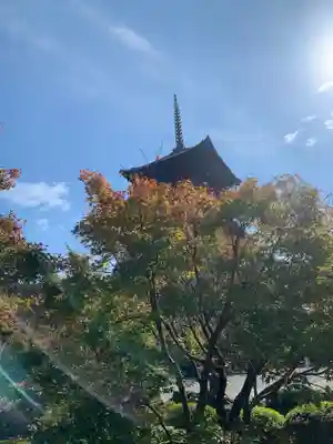 東寺（教王護国寺）(京都府)
