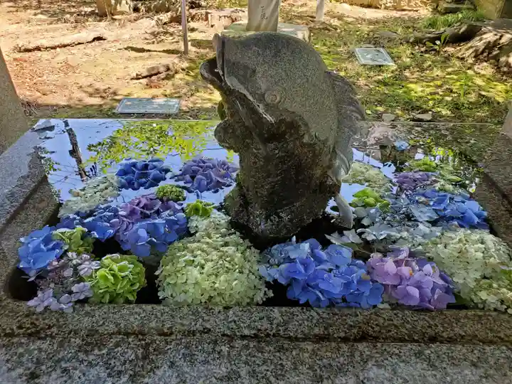 神炊館神社 ⁂奥州須賀川総鎮守⁂の手水舎