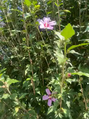 祖母井神社(栃木県)