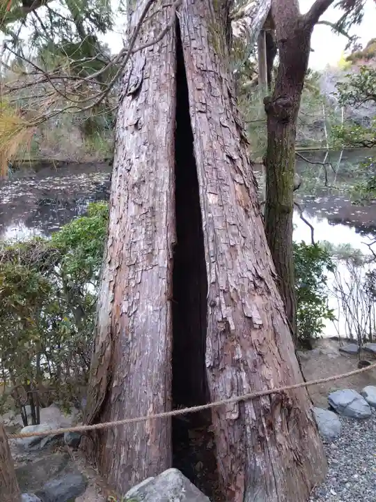 龍安寺(京都府)