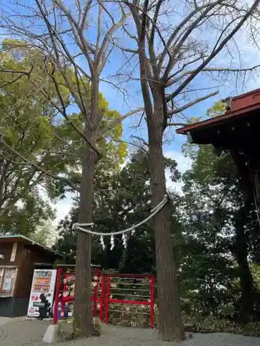 多摩川浅間神社の自然