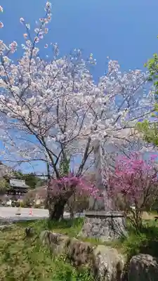 善住禅寺(愛知県)